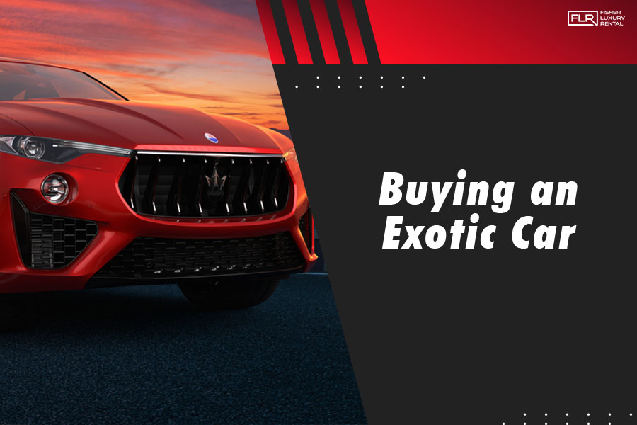 Buying an Exotic Car