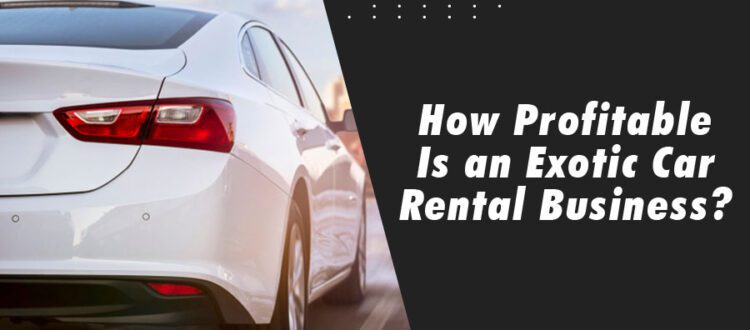 How Profitable Is an Exotic Car Rental Business?