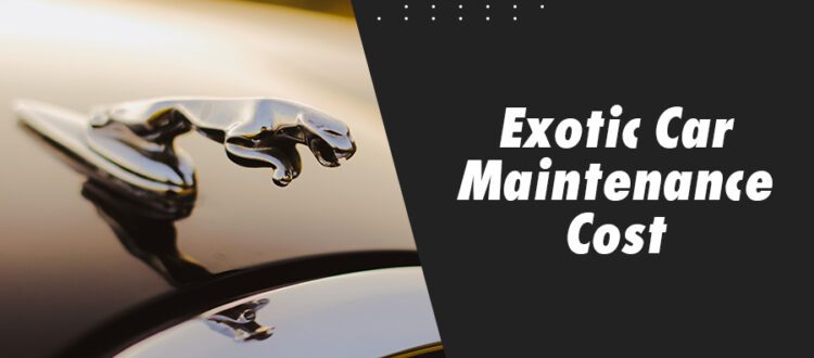 Exotic Car Maintenance Cost