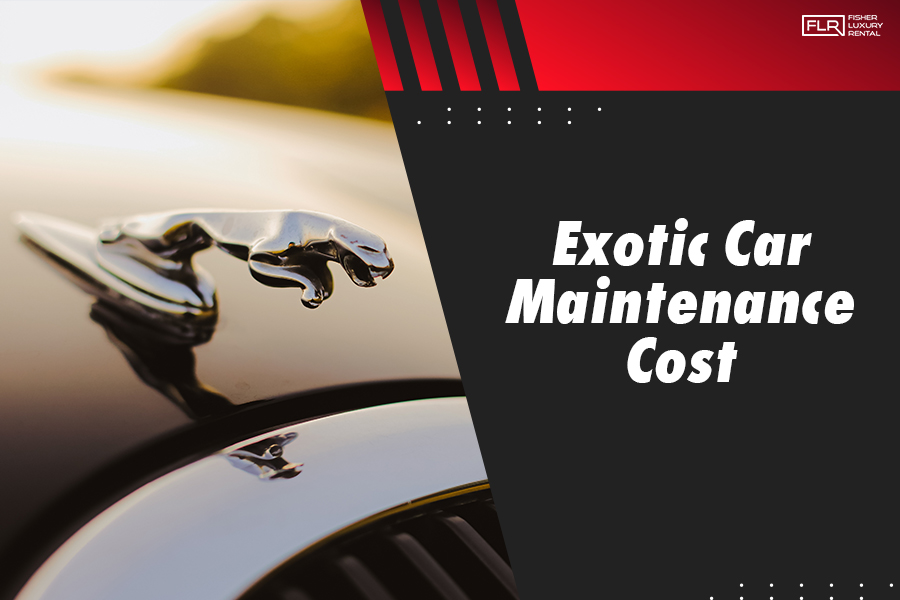 Exotic Car Maintenance Cost