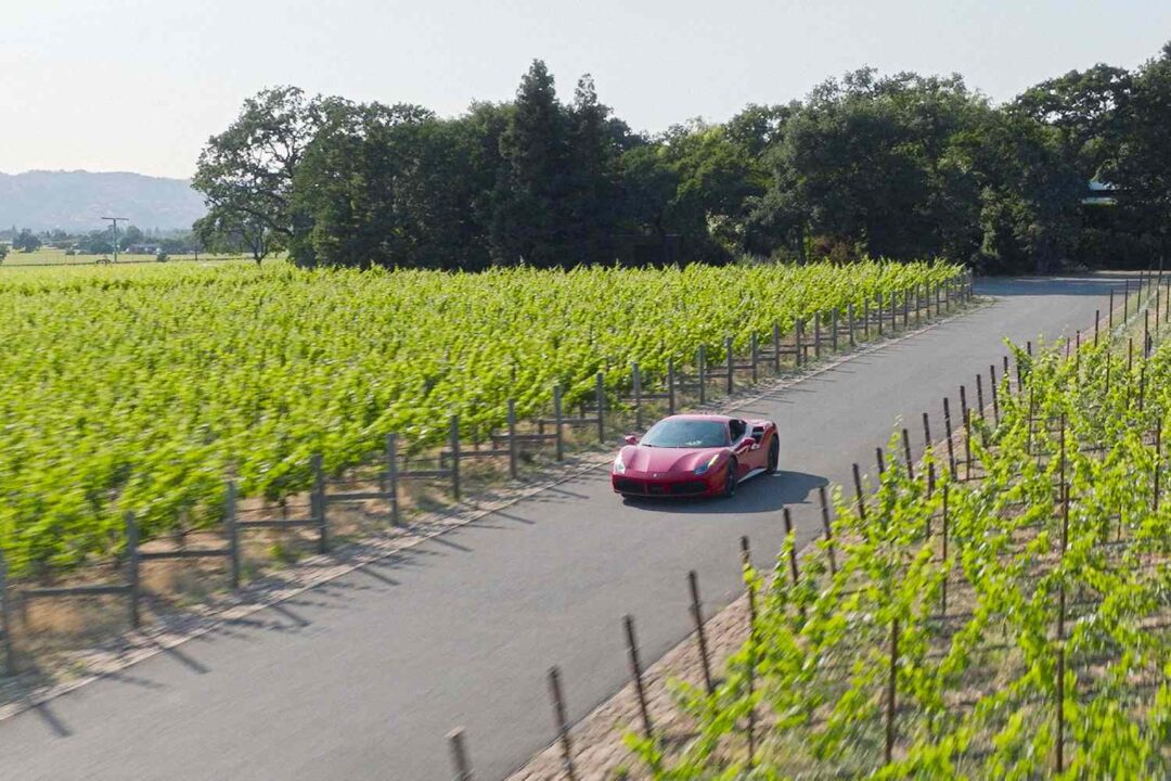 Luxury sports car driving on road between vineyard rows with scenic landscape