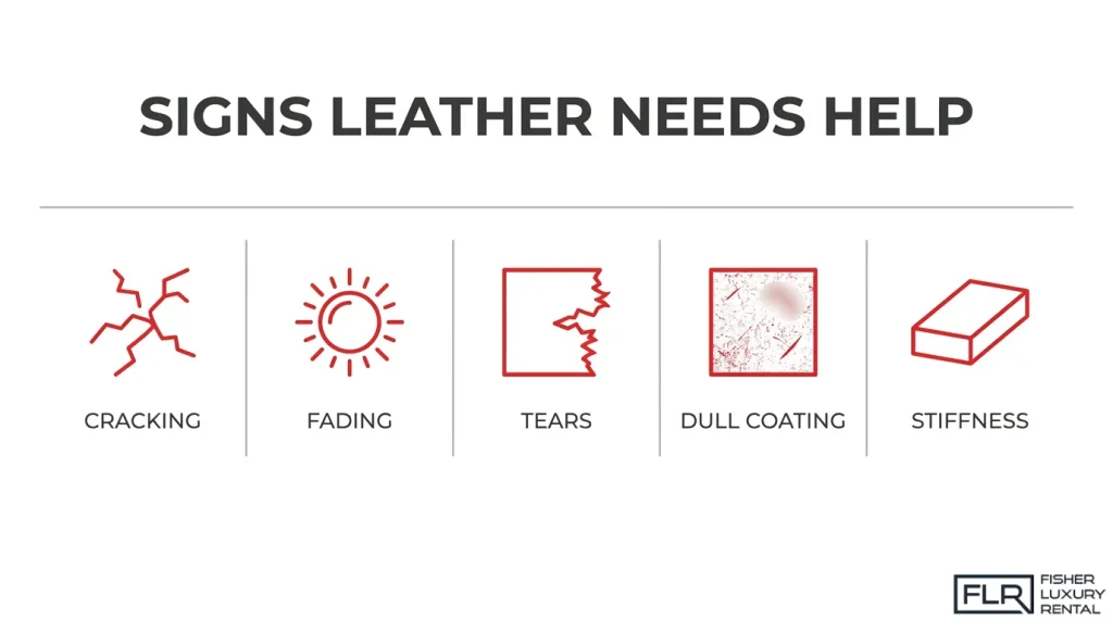 Infographic illustrating five signs of damaged car leather upholstery, including cracking, fading, tears, dull surface coating, and stiffness.